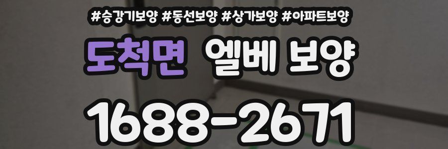 도척면 엘베 보양