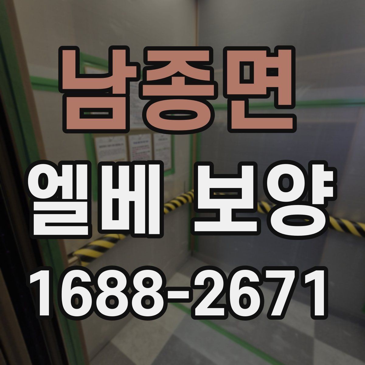 남종면 엘베 보양 보양 사진 기록이 필요한 현장 운영 포인트