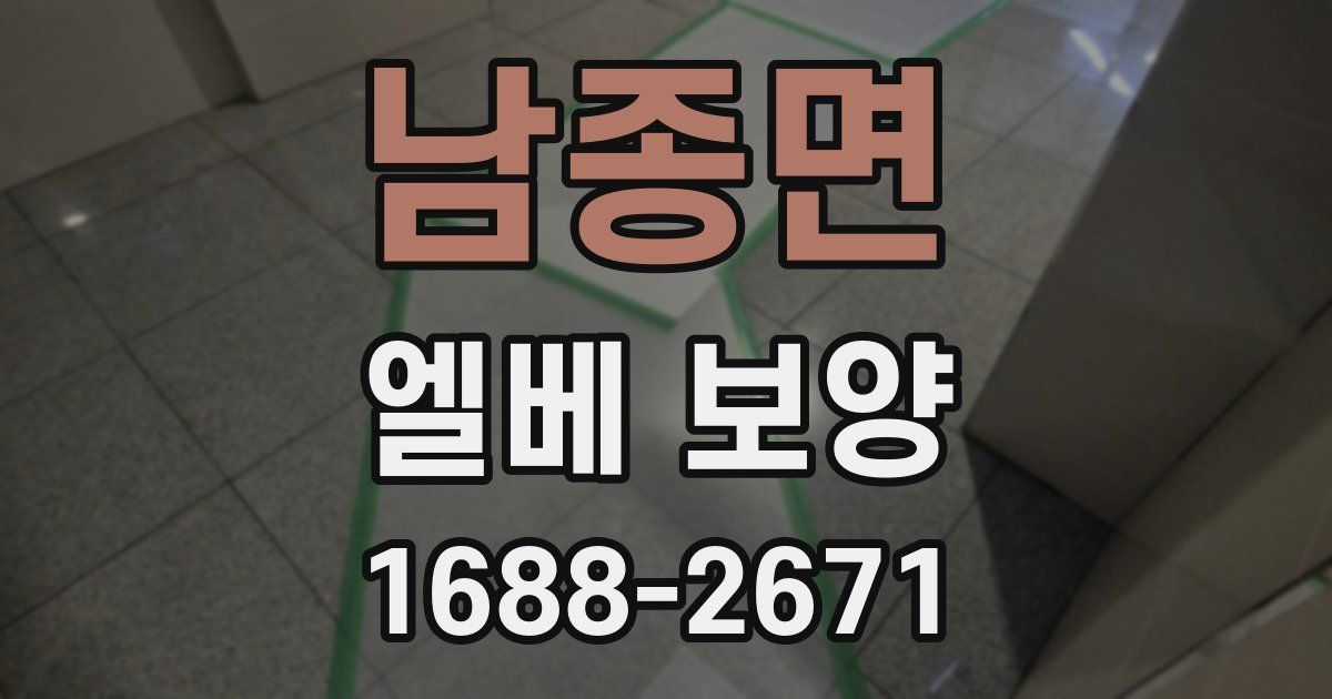 남종면 엘베 보양