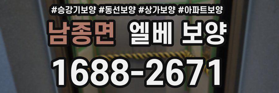 남종면 엘베 보양