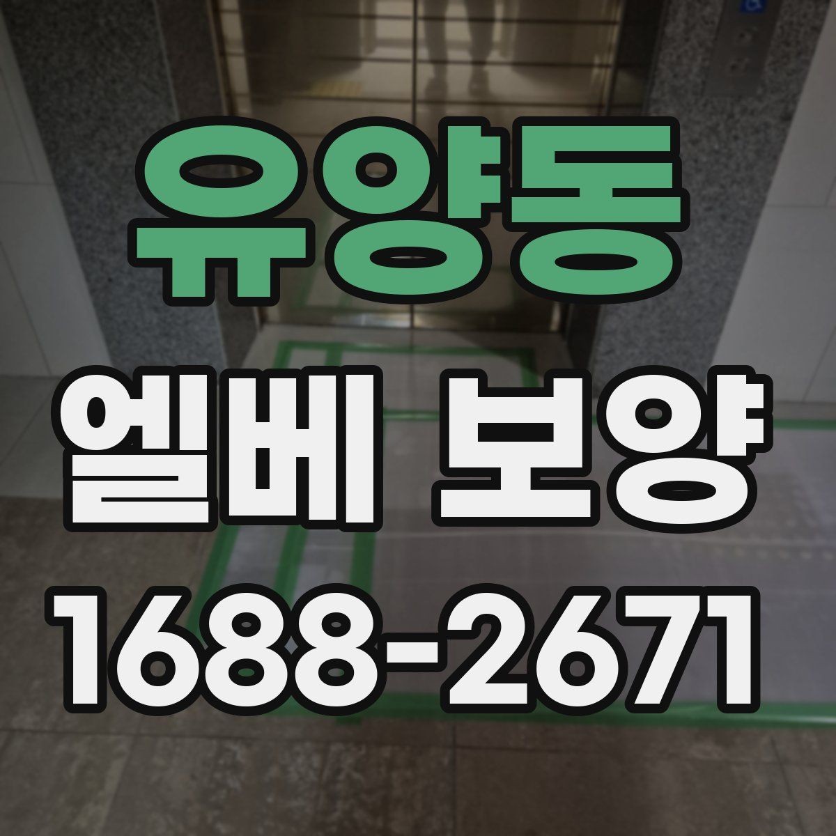 유양동 엘베 보양 주거용과 상업용 건물 적용 차이 살펴보기