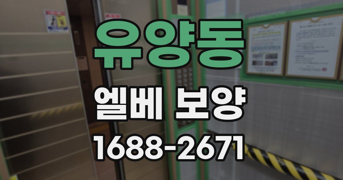 유양동 엘베 보양