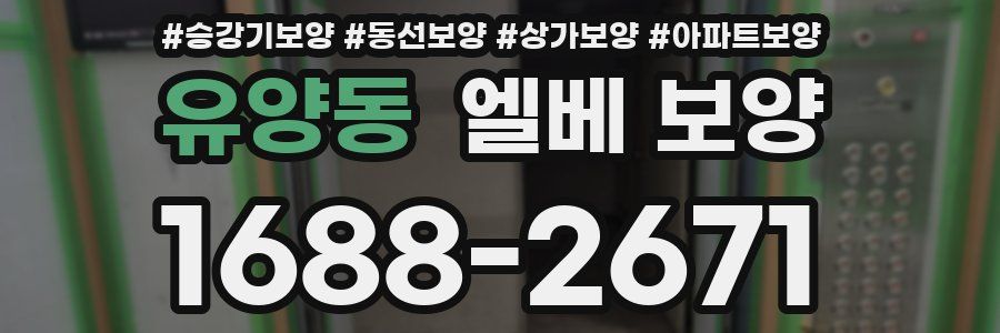 유양동 엘베 보양