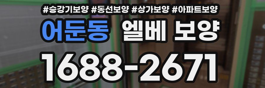 어둔동 엘베 보양