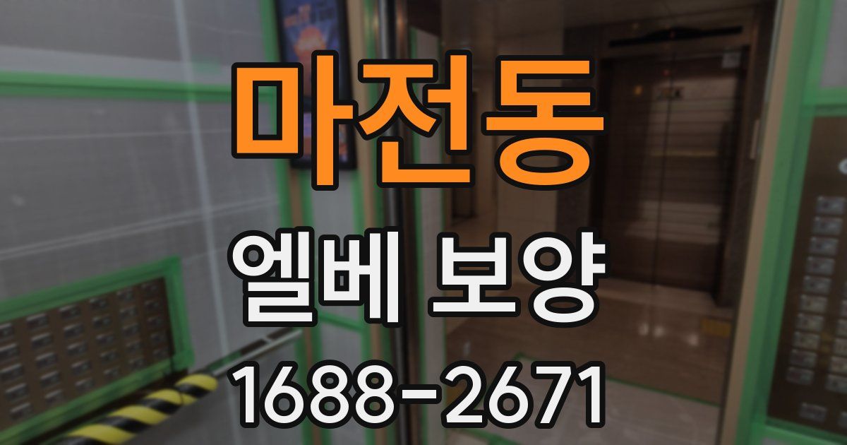 마전동 엘베 보양