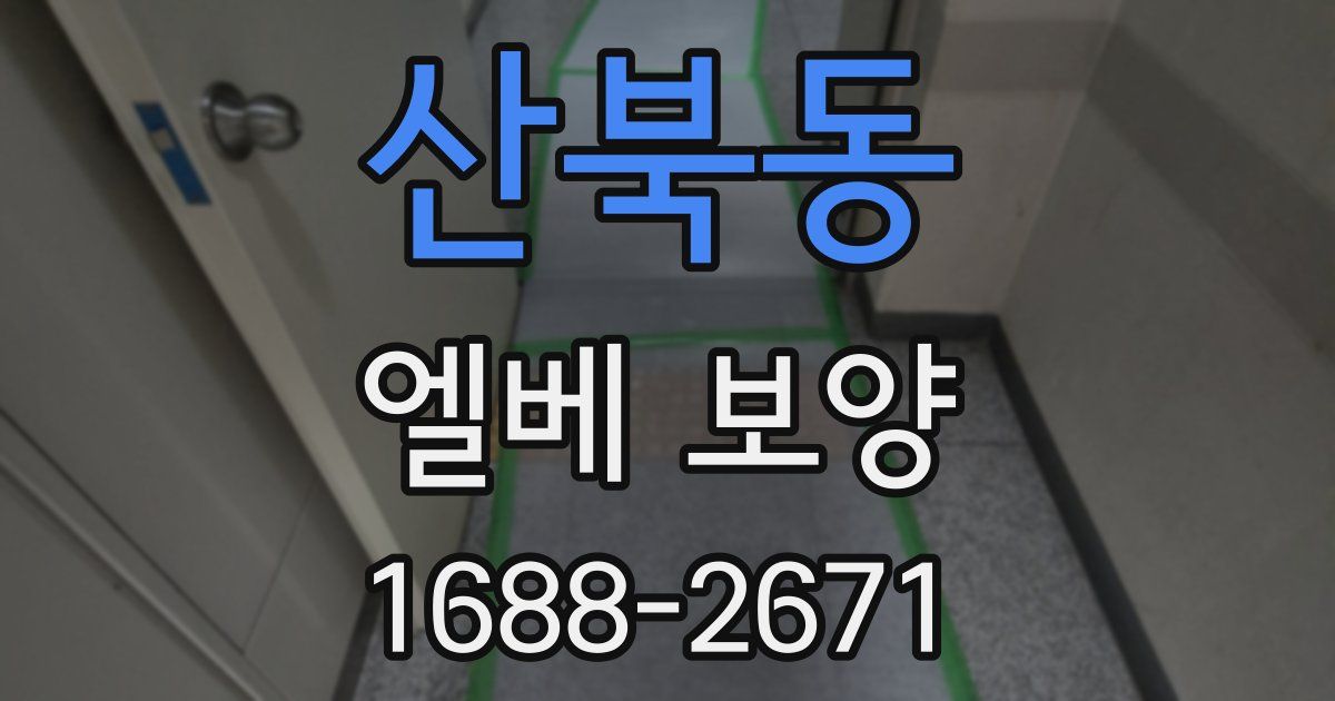 산북동 엘베 보양