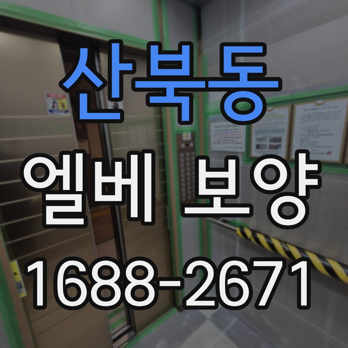 산북동 엘베 보양