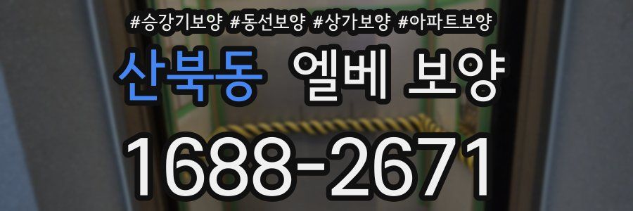 산북동 엘베 보양