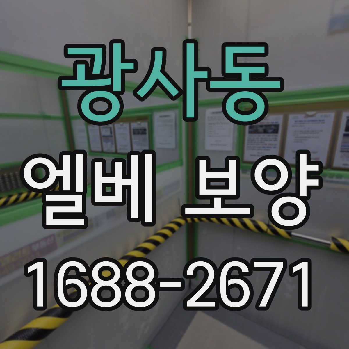 광사동 엘베 보양
