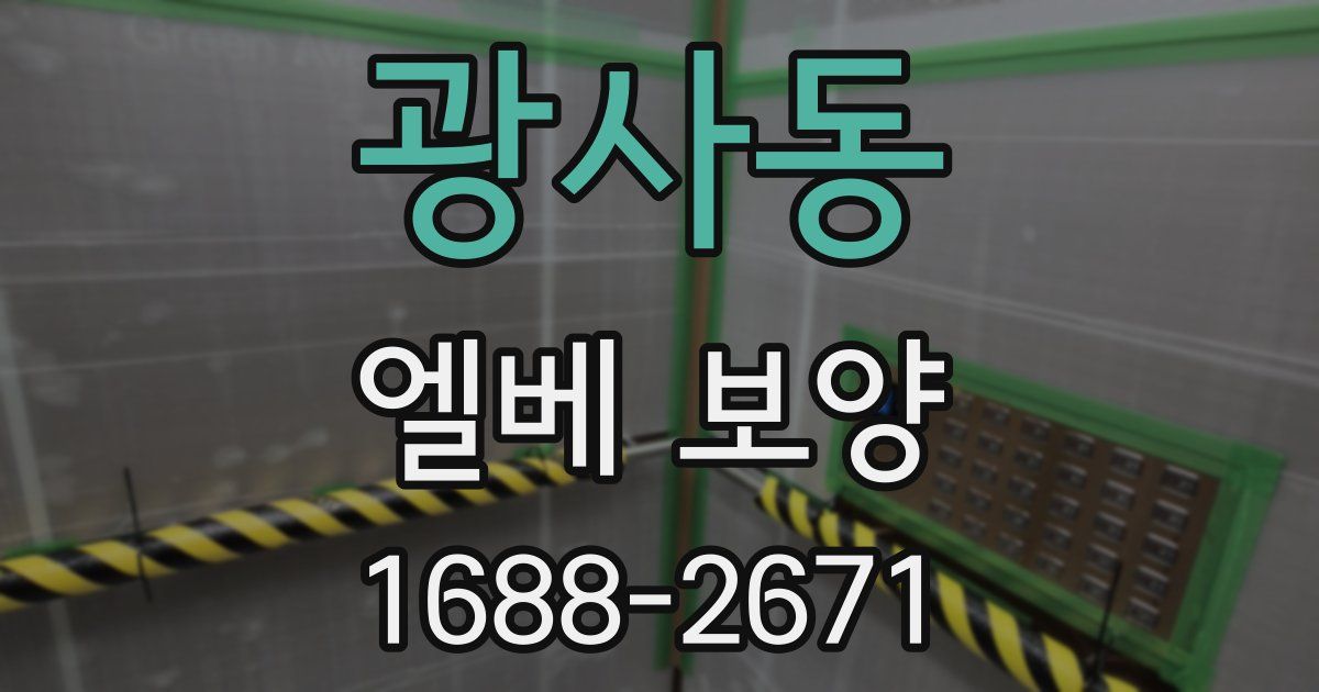 광사동 엘베 보양