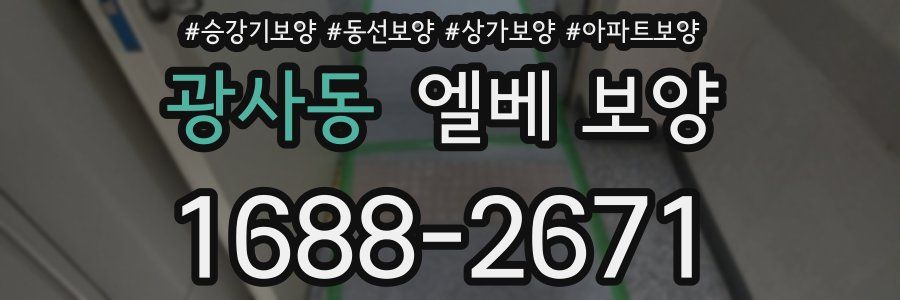 광사동 엘베 보양
