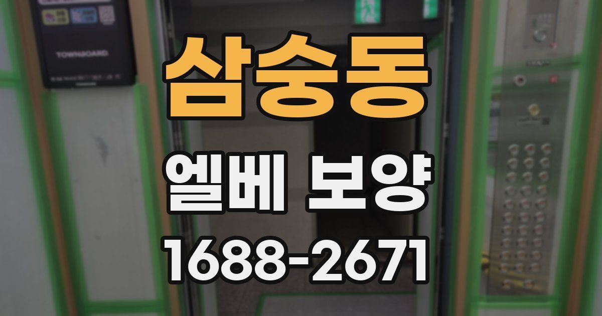 삼숭동 엘베 보양