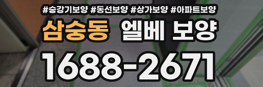 삼숭동 엘베 보양