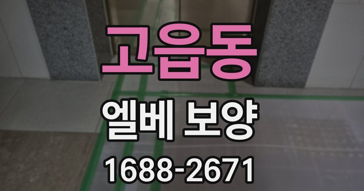 고읍동 엘베 보양