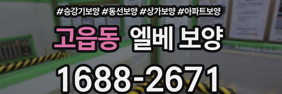 고읍동 엘베 보양