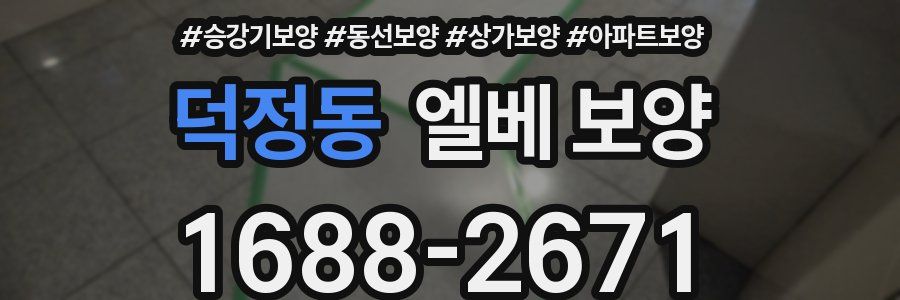 덕정동 엘베 보양