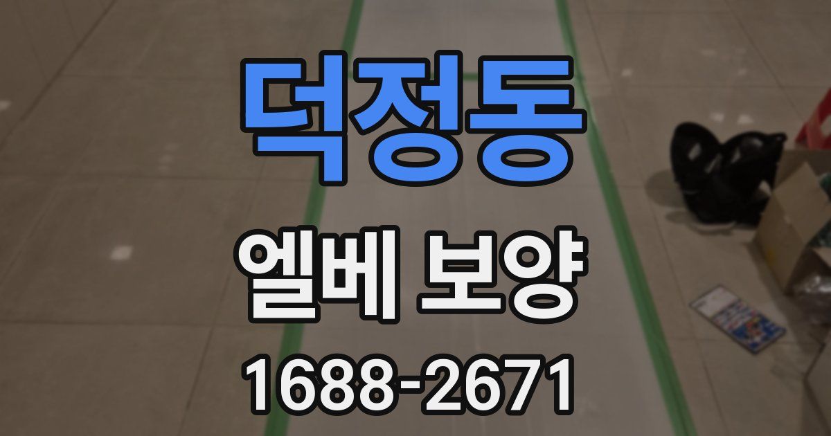 덕정동 엘베 보양