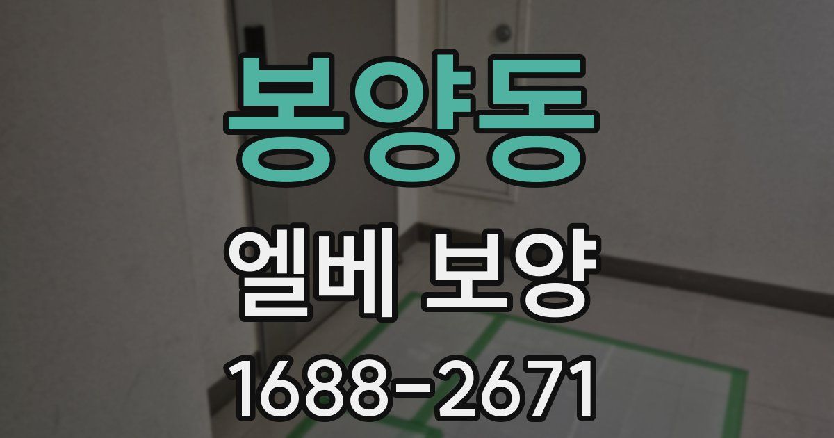 봉양동 엘베 보양