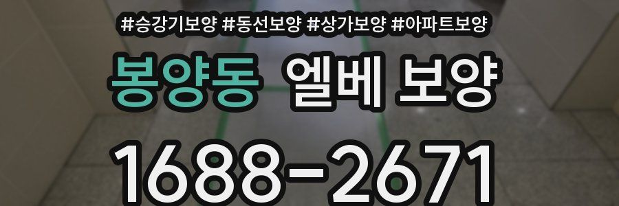 봉양동 엘베 보양