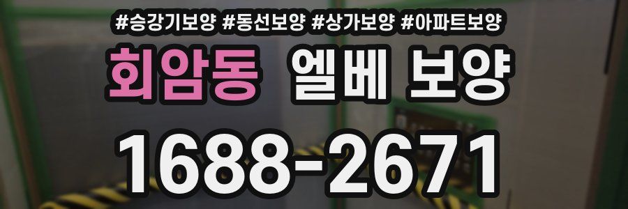회암동 엘베 보양