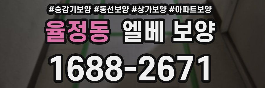 율정동 엘베 보양