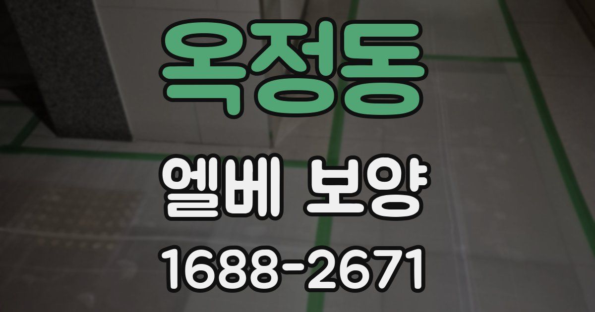 옥정동 엘베 보양