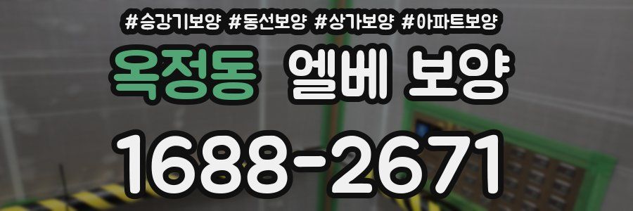 옥정동 엘베 보양