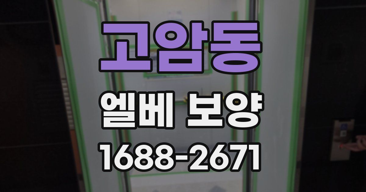 고암동 엘베 보양