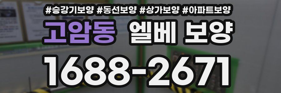 고암동 엘베 보양