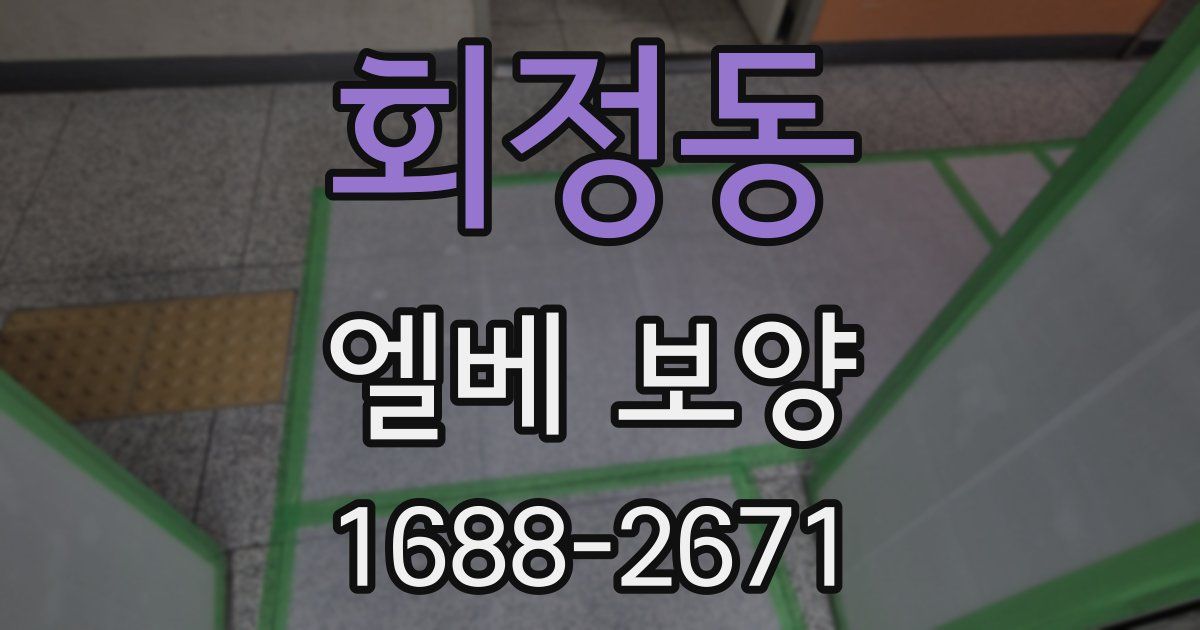 회정동 엘베 보양