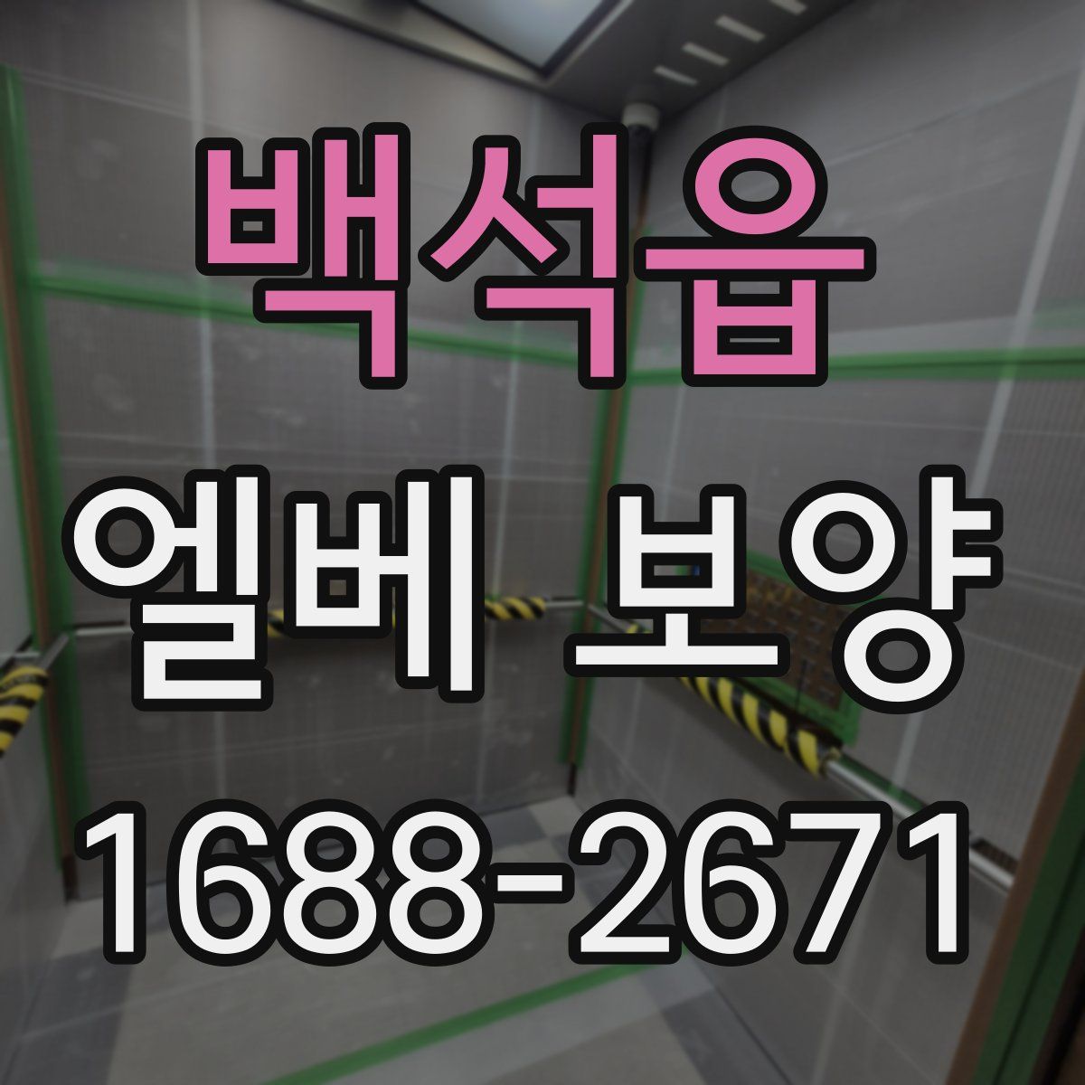 백석읍 엘베 보양