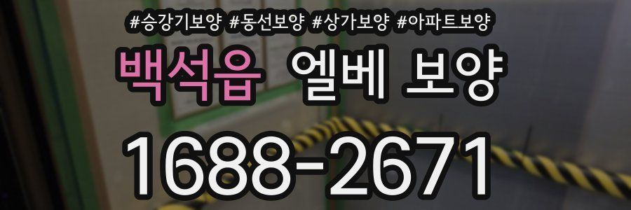 백석읍 엘베 보양