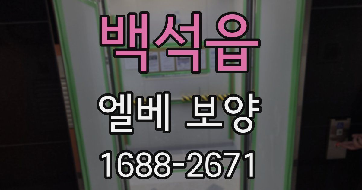 백석읍 엘베 보양
