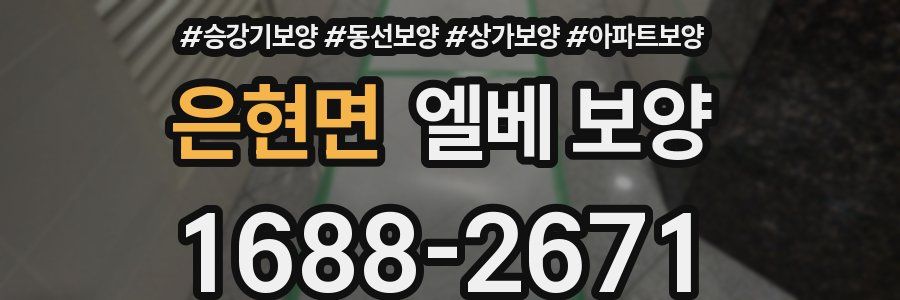 은현면 엘베 보양