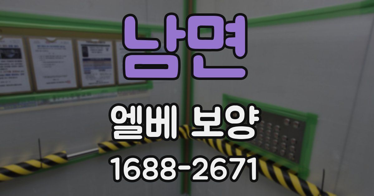 남면 엘베 보양