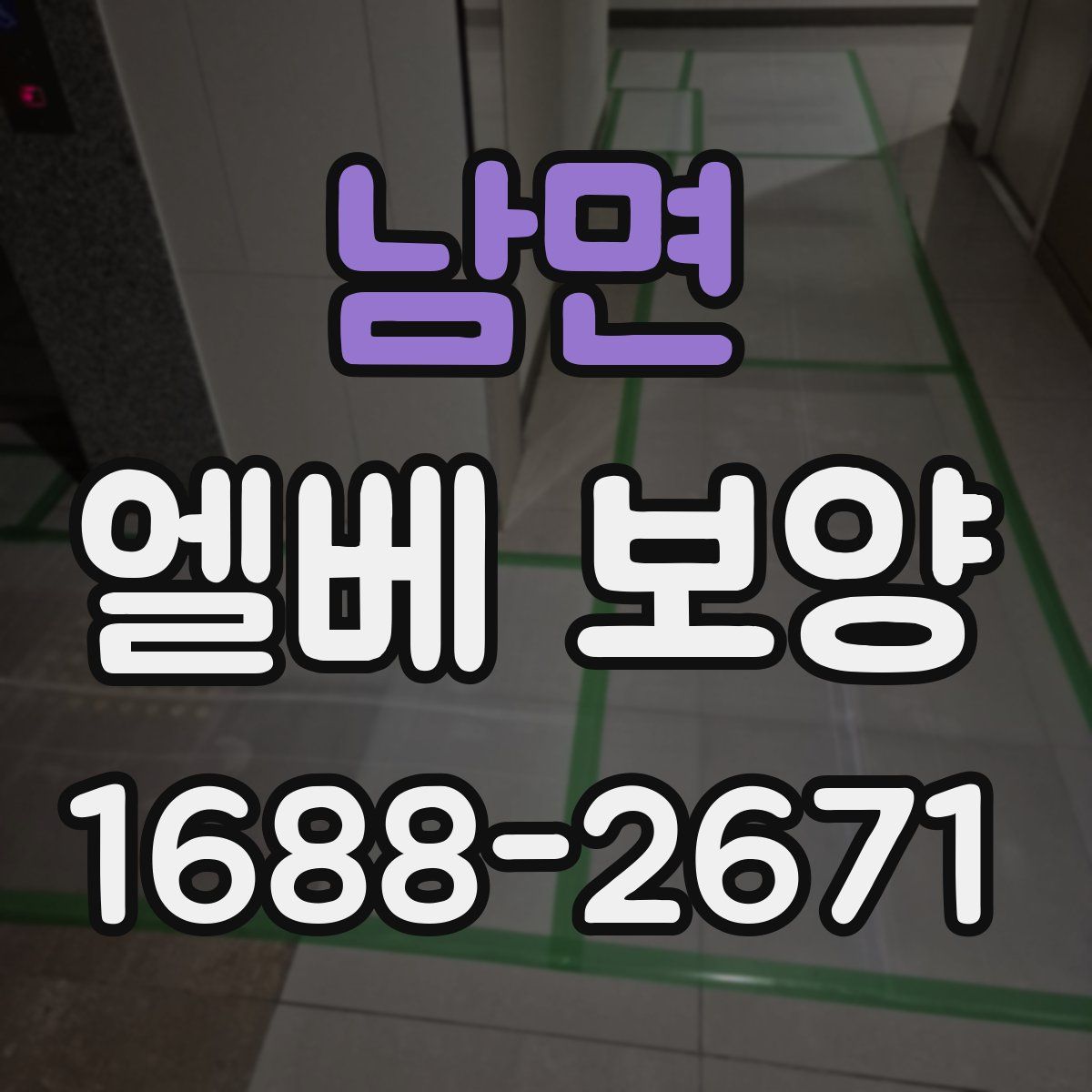 남면 엘베 보양