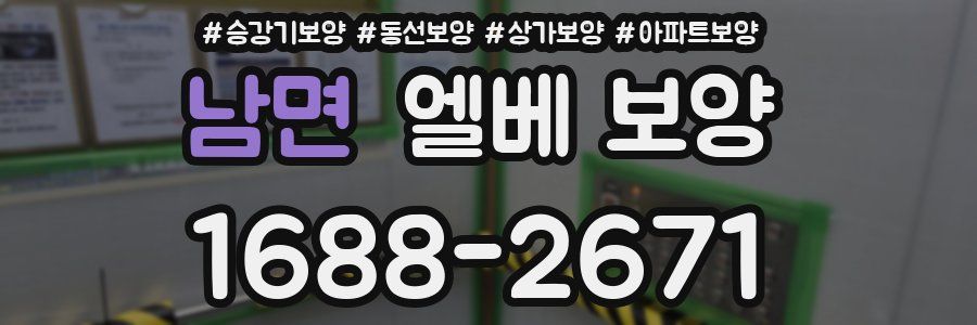 남면 엘베 보양