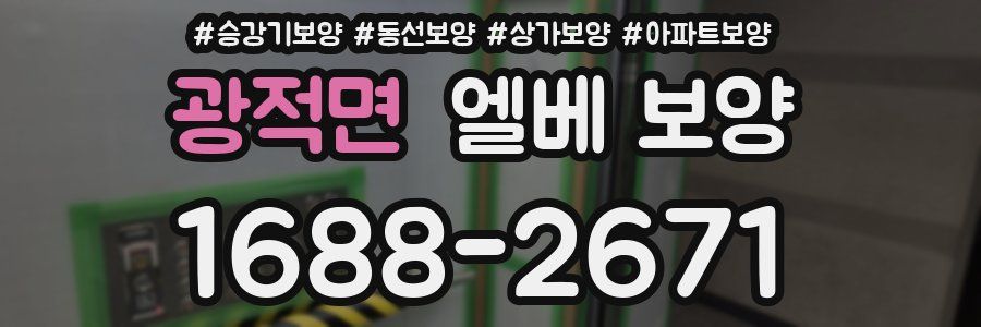 광적면 엘베 보양