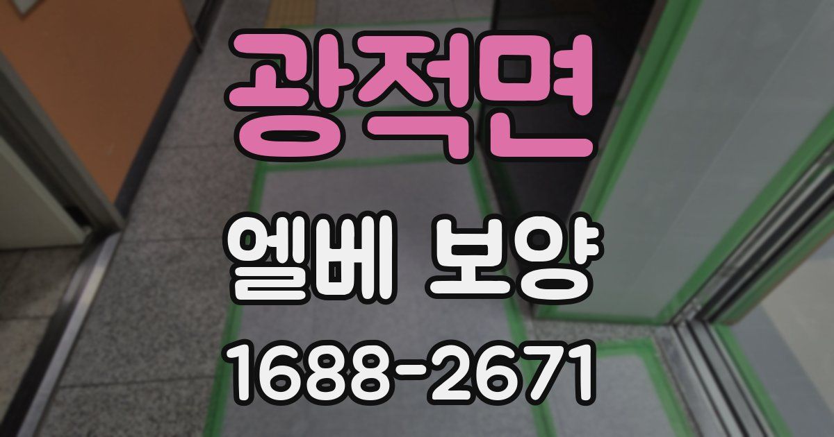 광적면 엘베 보양