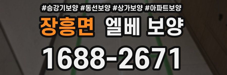 장흥면 엘베 보양