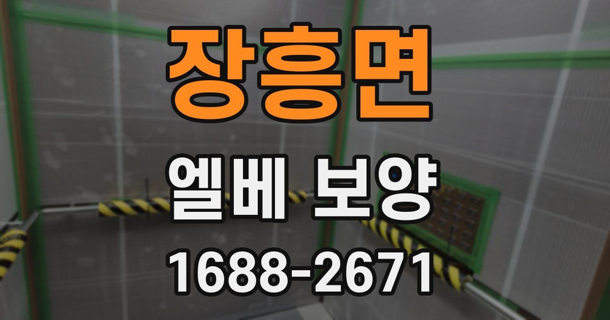 장흥면 엘베 보양