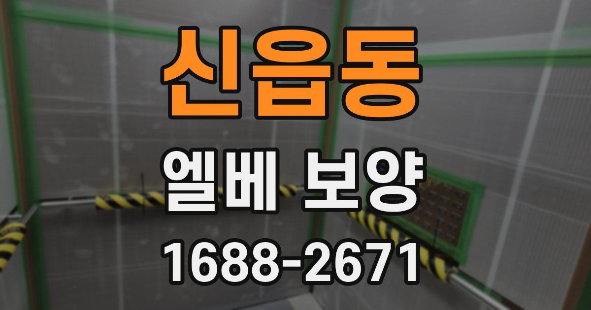 신읍동 엘베 보양