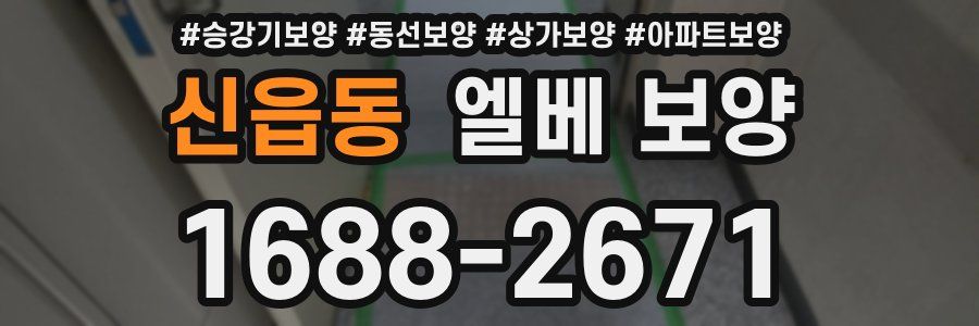 신읍동 엘베 보양