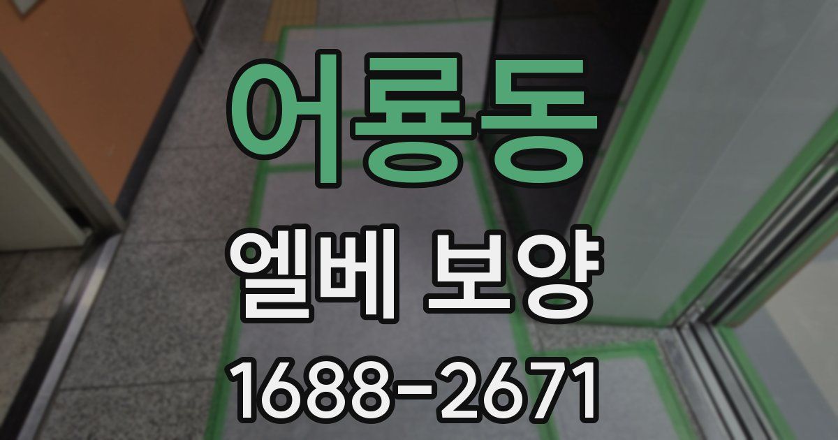 어룡동 엘베 보양