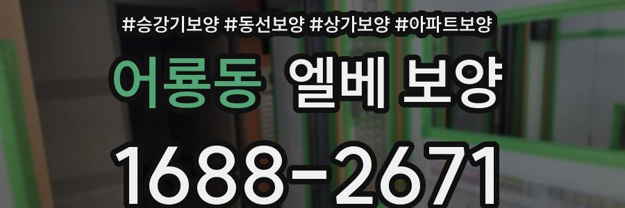 어룡동 엘베 보양