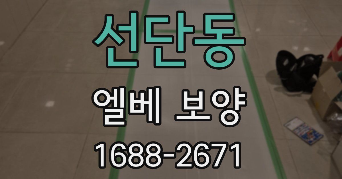 선단동 엘베 보양
