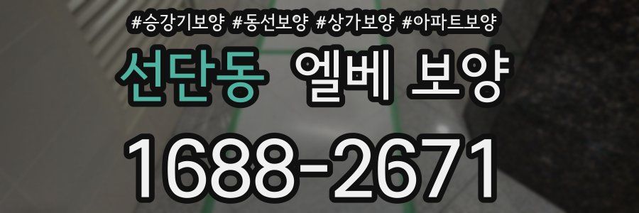 선단동 엘베 보양