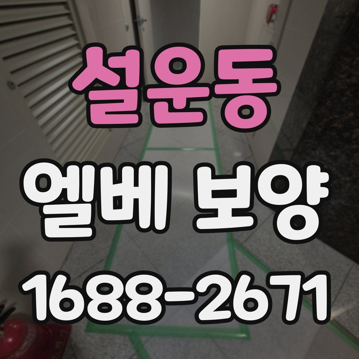 설운동 엘베 보양 이사와 철거가 겹칠 때 현장 운영 순서