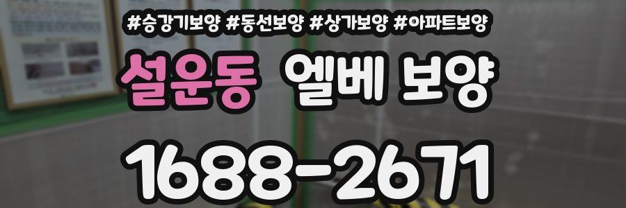 설운동 엘베 보양