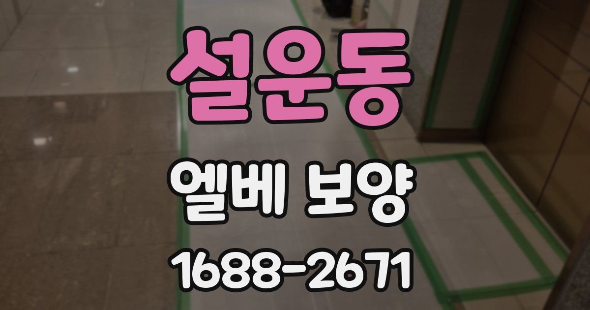 설운동 엘베 보양